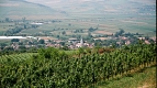 Transylvania Tour Collection | Romania Travel Tour Trips | Transylvania Tours -VilaVinea Vineyard